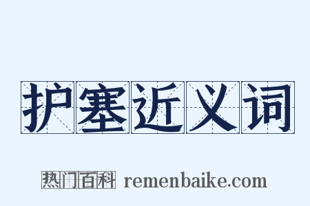 护塞近义词是什么意思的图片